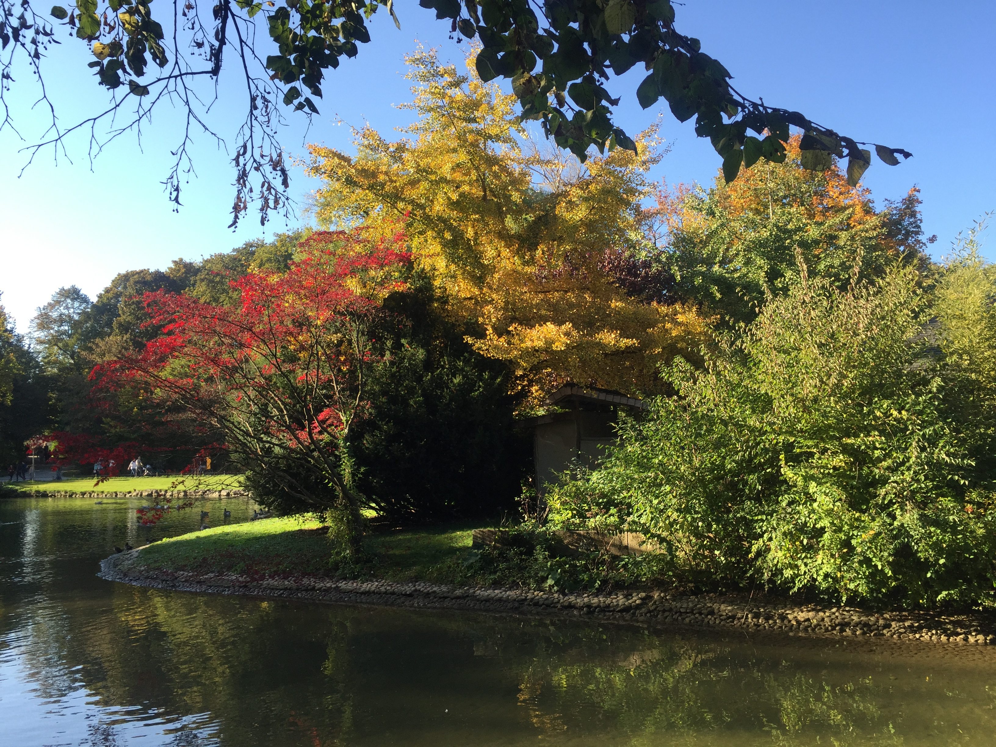 Englischer Garten Jardin Anglais Schöne Stadtführung